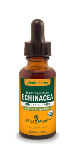 ECHINACEA ALCOHOL FREE 1 fl oz